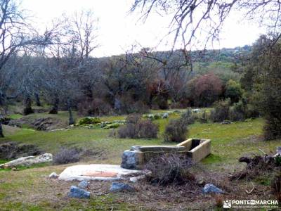 Alto del Pinar, Dehesa de Navalquejigo;rutas de senderismo en la pedriza navacerrada la barranca exc